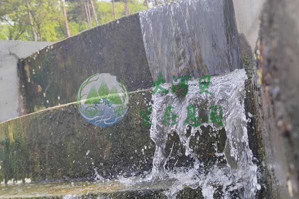 沈陽大河貝墓園全方位服務，價格實惠